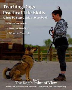 teaching dogs practical life skills