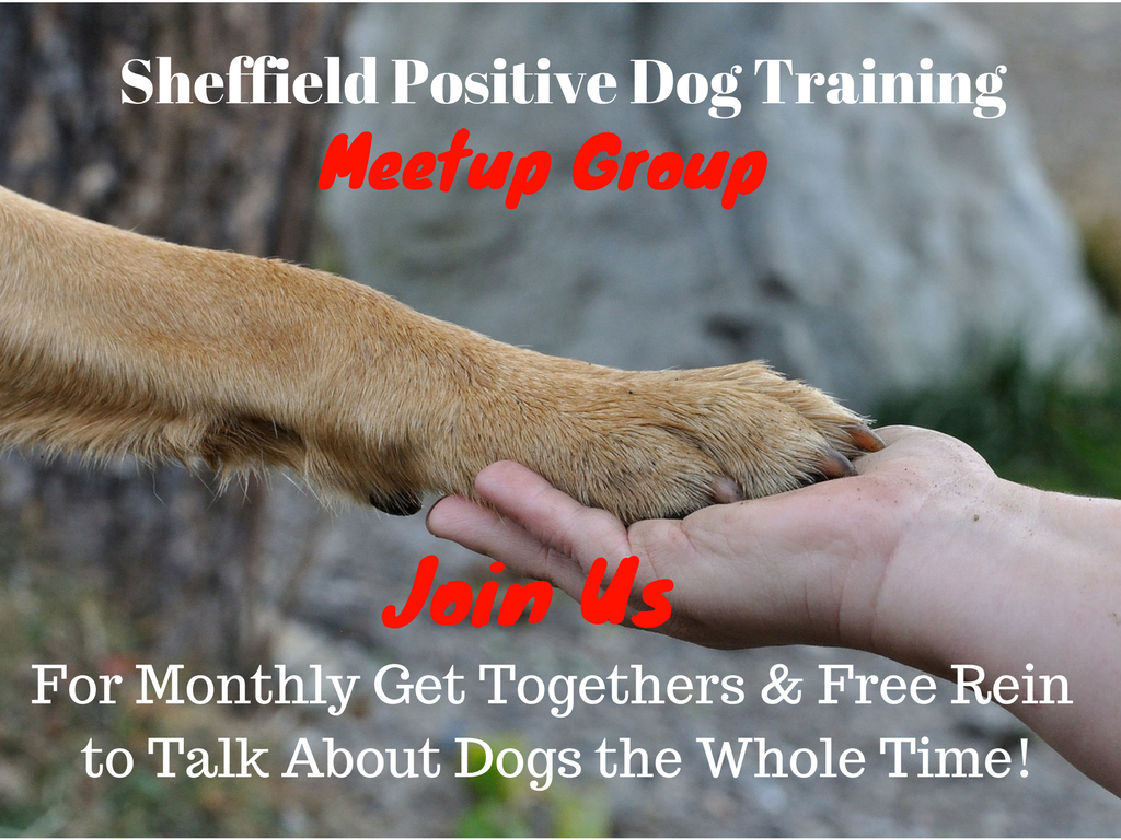 Sheffield Positive Dog Training Group