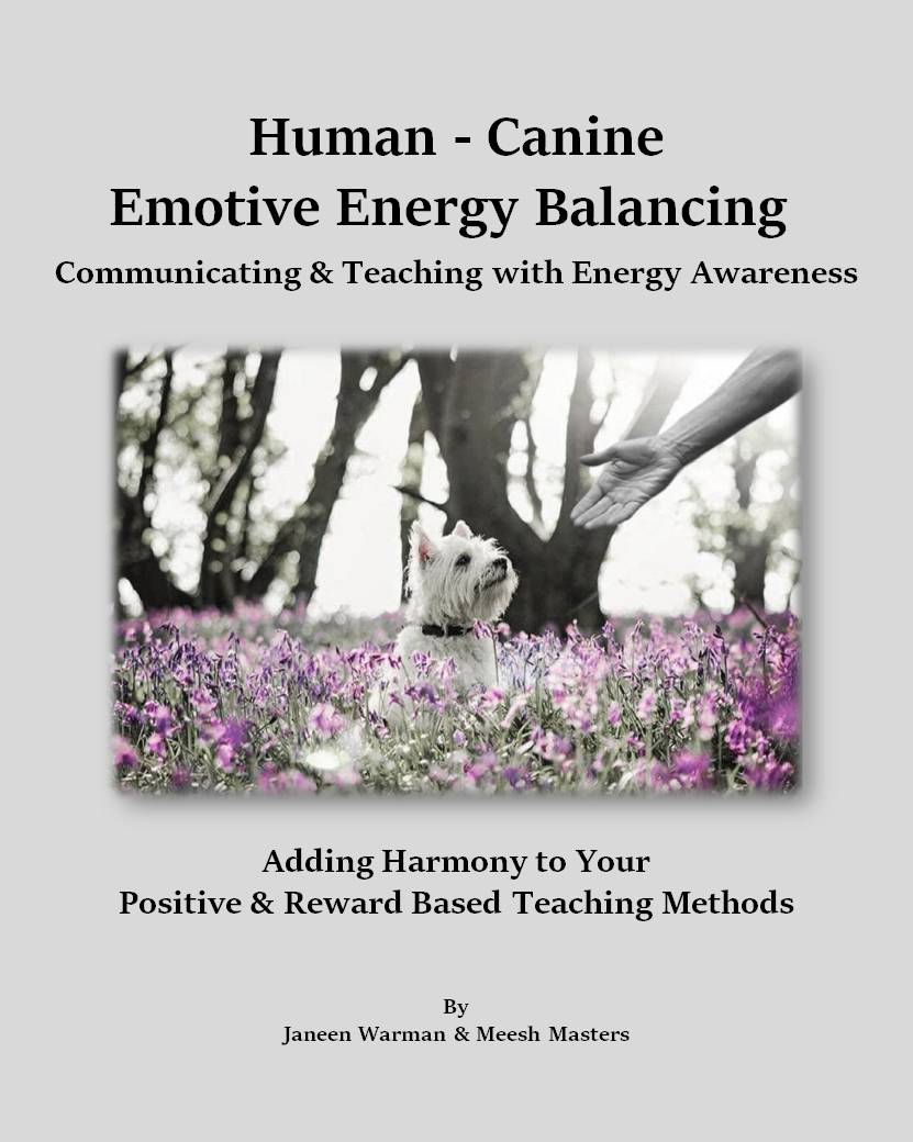 energy awareness and dogs