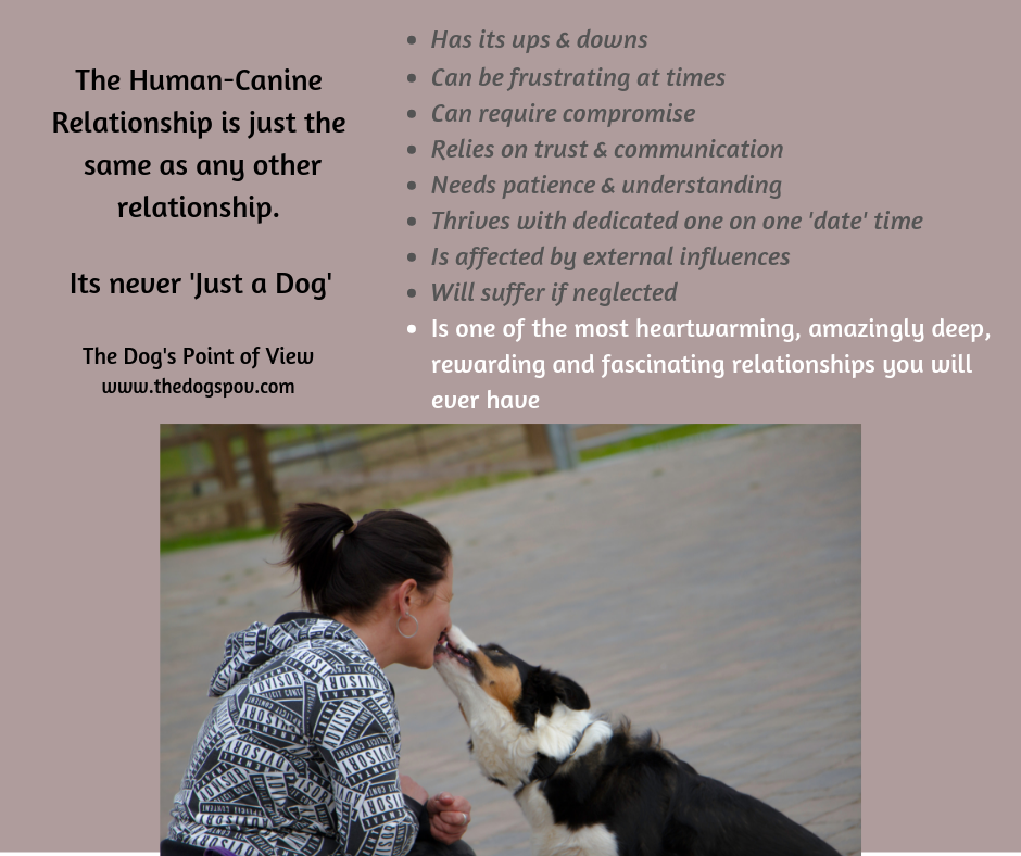 human-canine coaching group