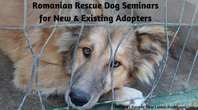 Romanian Rescue dogs seminars